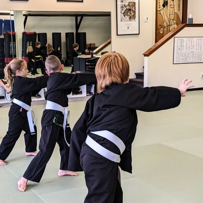 Kitsap Martial Arts Picture 7