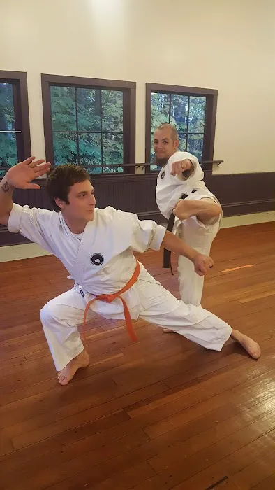 Butokukan Karate Silverdale Picture 1