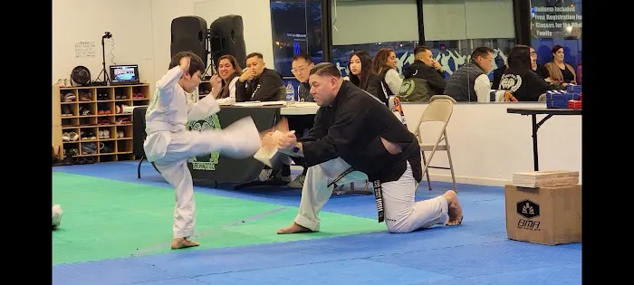 Twin Tigers Taekwondo Picture 1