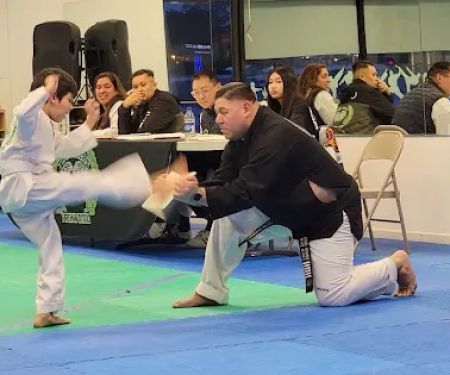 Twin Tigers Taekwondo