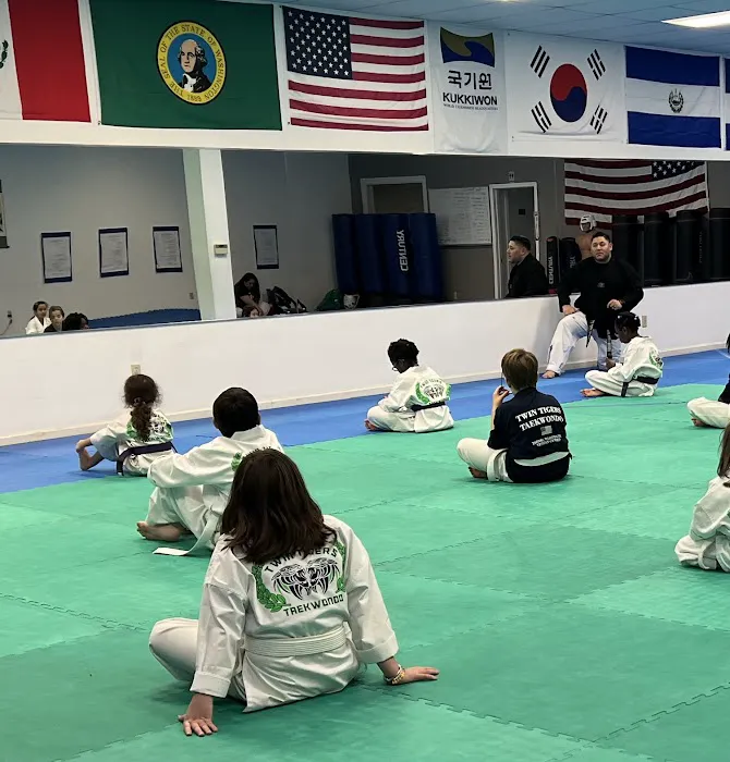 Twin Tigers Taekwondo Picture 2