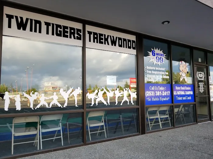 Twin Tigers Taekwondo Picture 3