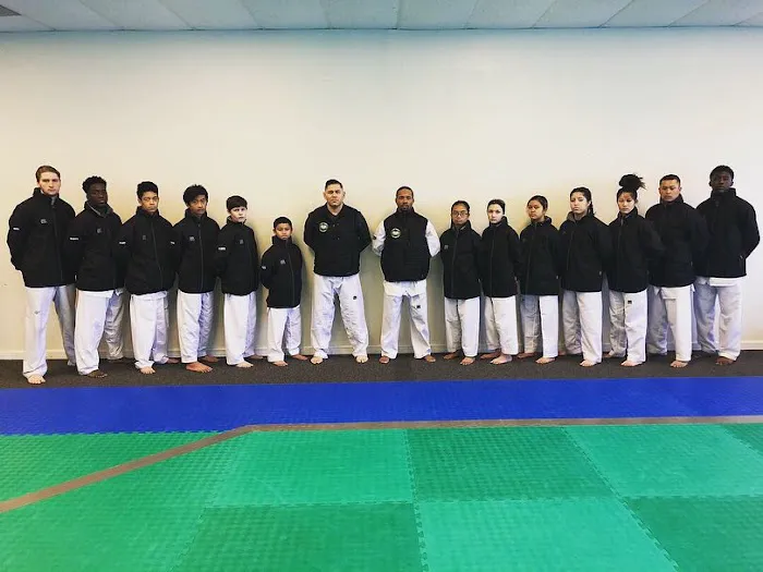 Twin Tigers Taekwondo Picture 8