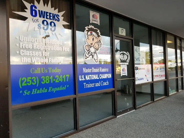 Twin Tigers Taekwondo Picture 6