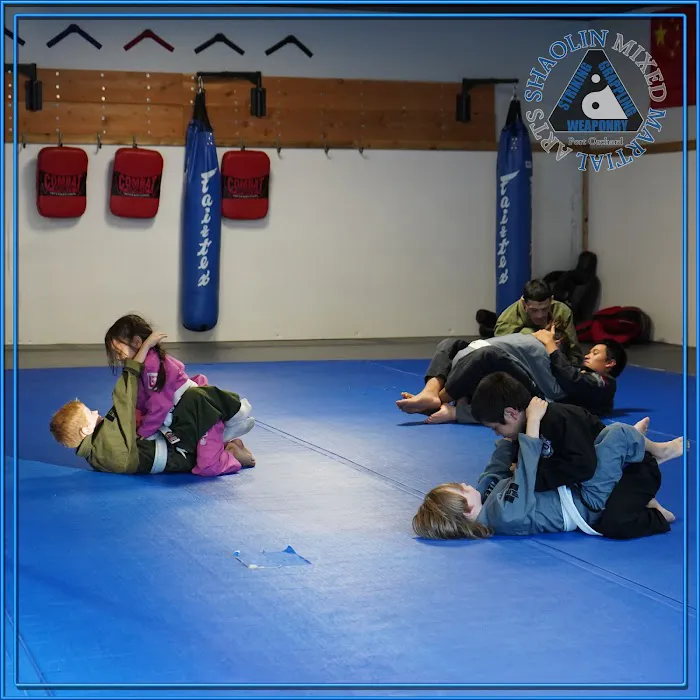 SMMA Martial Arts Port Orchard Picture 2