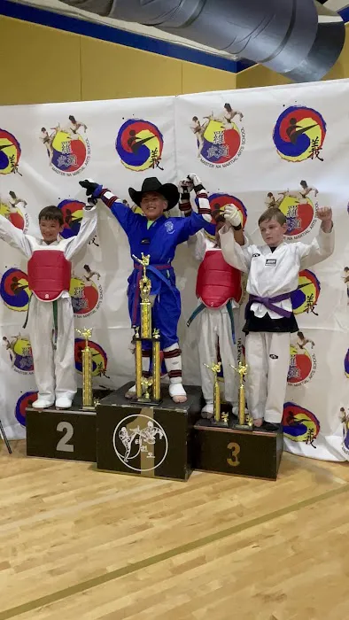 Master Na's Taekwondo Black Belt Academy Picture 6