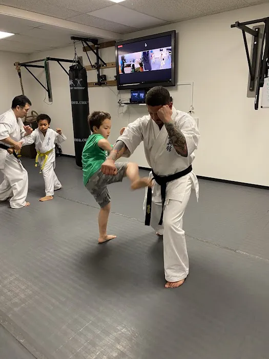 Kyokushin Kan Karate Picture 4