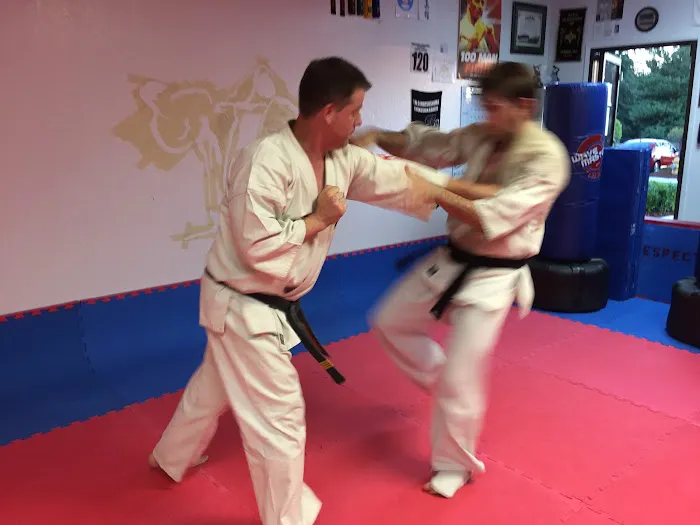 Kyokushin Kan Karate Picture 3