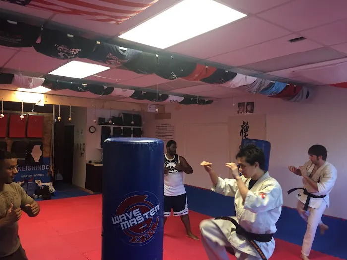 Kyokushin Kan Karate Picture 8