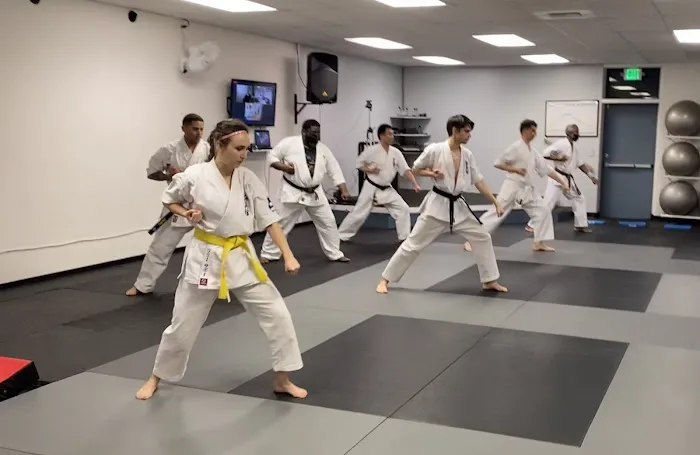 Kyokushin Kan Karate Picture 5