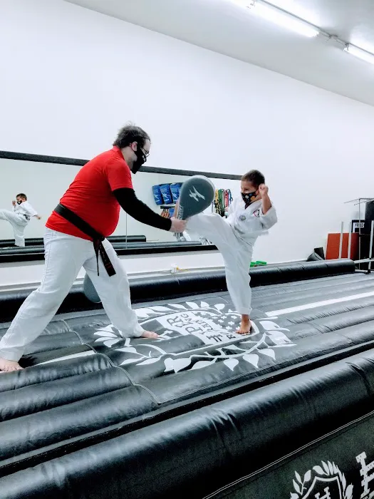 Freedom Martial Arts Academy Picture 4