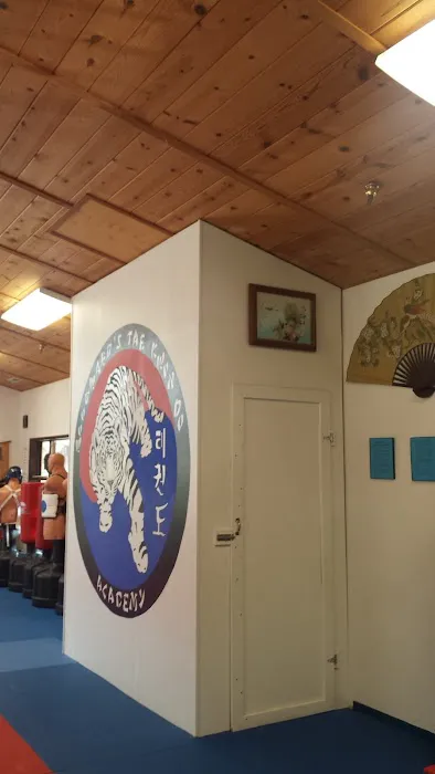 Woodward's Tae Kwon Do Academy Picture 1