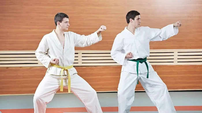 Woodward's Tae Kwon Do Academy Picture 4