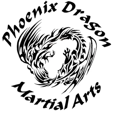 Phoenix Dragon Martial Arts & Fitness Picture 4