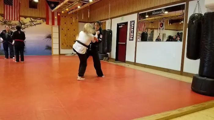 Phoenix Dragon Martial Arts & Fitness Picture 2