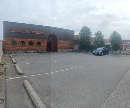 Phoenix Dragon Martial Arts & Fitness