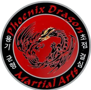 Phoenix Dragon Martial Arts & Fitness Picture 6