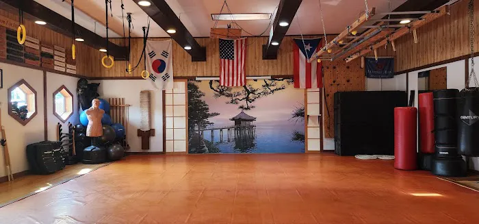 Phoenix Dragon Martial Arts & Fitness Picture 3