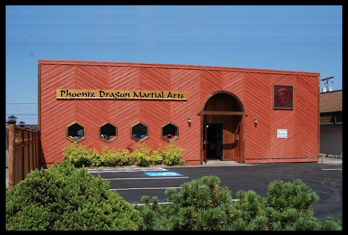 Phoenix Dragon Martial Arts & Fitness Picture 7