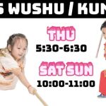 Las Vegas Modern Kung Fu