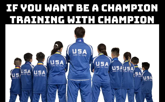 Las Vegas Modern Kung Fu Picture 4