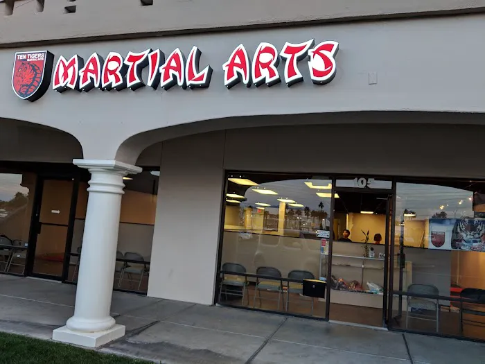 Ten Tigers Martial Arts Picture 7