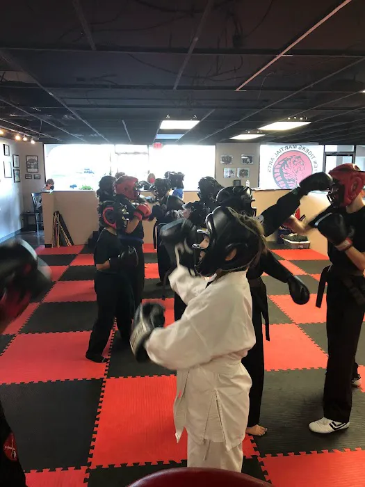 Ten Tigers Martial Arts Picture 8