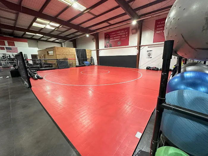 Las Vegas Combat Academy & Mixed Martial Arts Picture 6