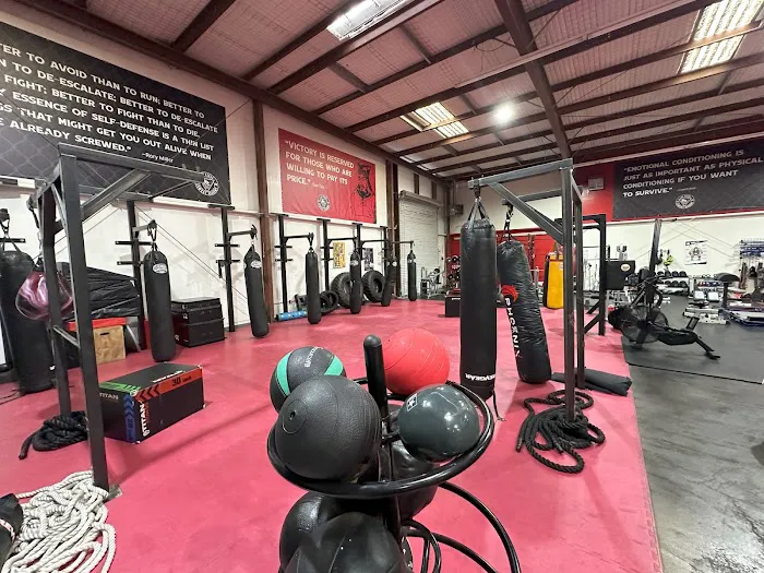 Las Vegas Combat Academy & Mixed Martial Arts Picture 4