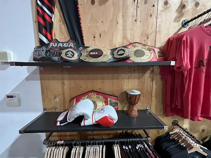 Las Vegas Combat Academy & Mixed Martial Arts Picture 5