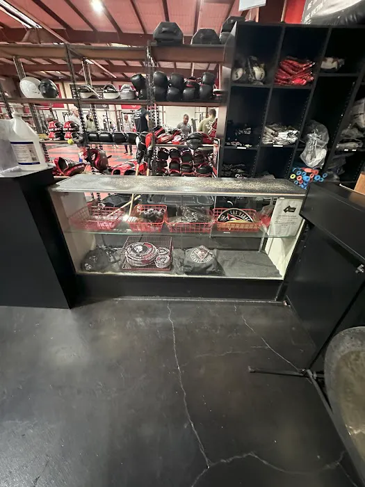 Las Vegas Combat Academy & Mixed Martial Arts Picture 10