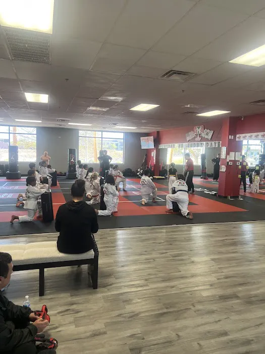 Bekho Martial Arts Picture 3