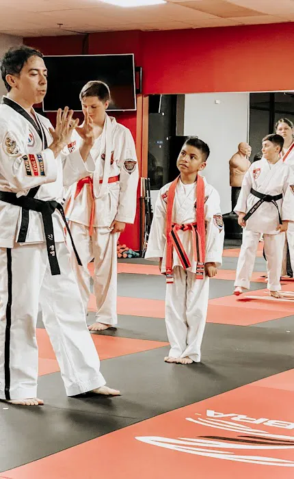 Bekho Martial Arts Picture 4