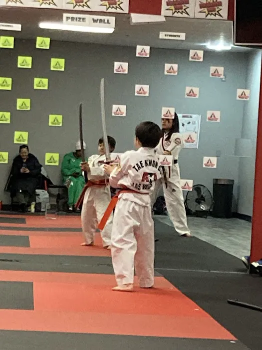 Bekho Martial Arts Picture 2