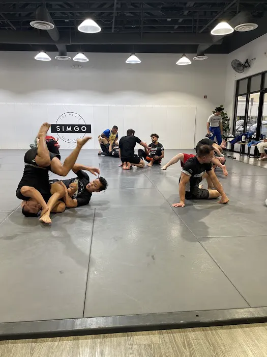 Sim Go Academy Picture 1