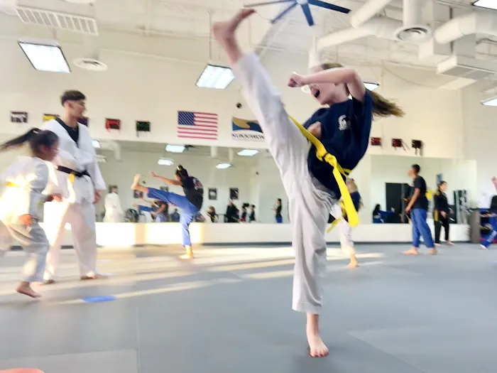 Eagle Taekwondo Picture 2