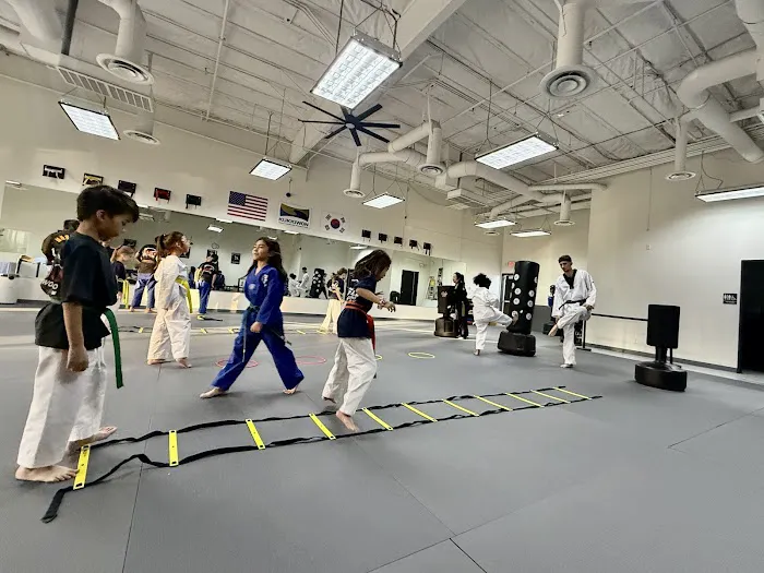 Eagle Taekwondo Picture 4