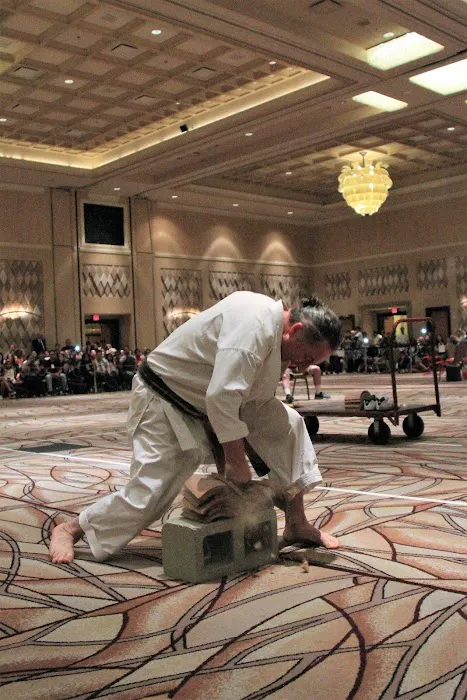 Tiger Thompson Taekwondo/ Kids zone Picture 1