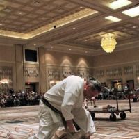 Tiger Thompson Taekwondo/ Kids zone ico