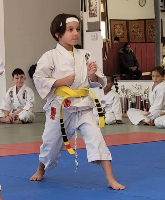 Tiger Thompson Taekwondo/ Kids zone Picture 4
