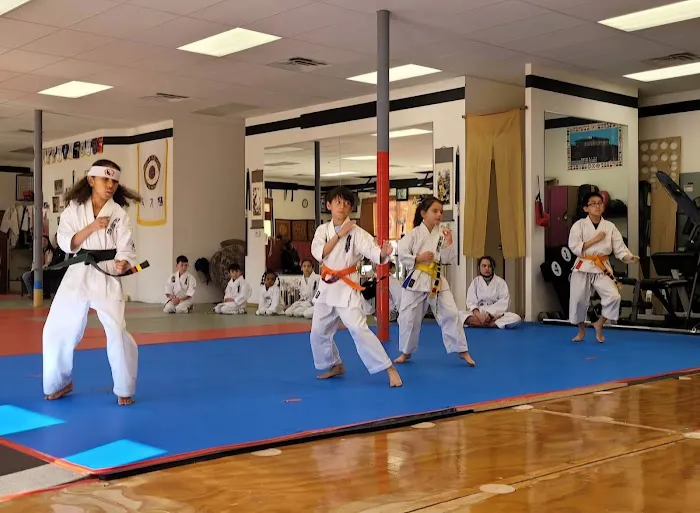 Tiger Thompson Taekwondo/ Kids zone Picture 3