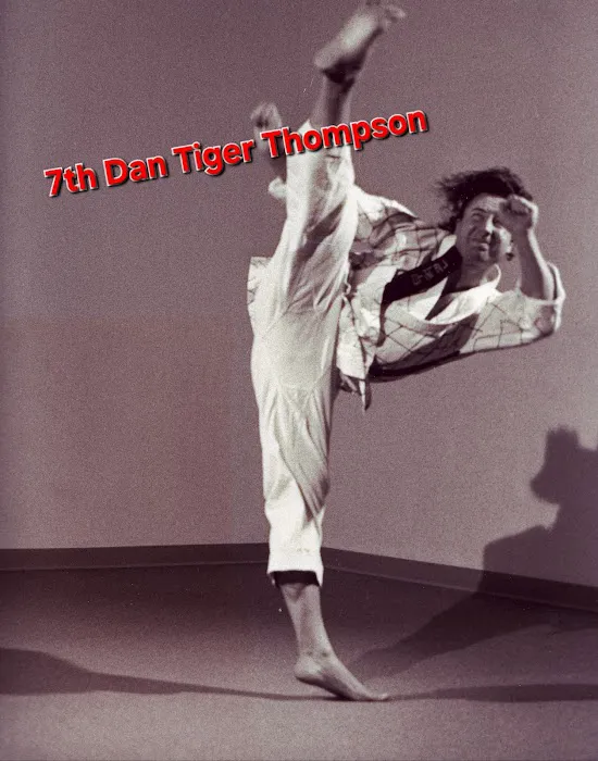 Tiger Thompson Taekwondo/ Kids zone Picture 9