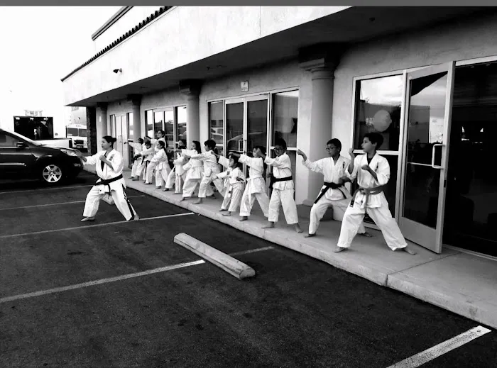 Tiger Thompson Taekwondo/ Kids zone Picture 10