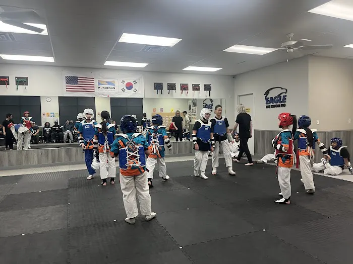 Eagle Taekwondo Picture 2