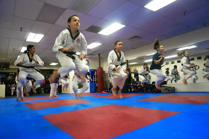 Eagle Taekwondo Picture 6
