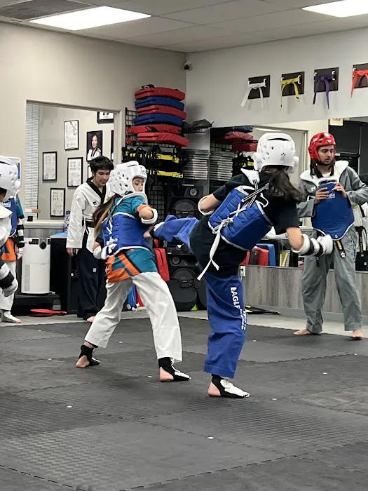 Eagle Taekwondo Picture 8