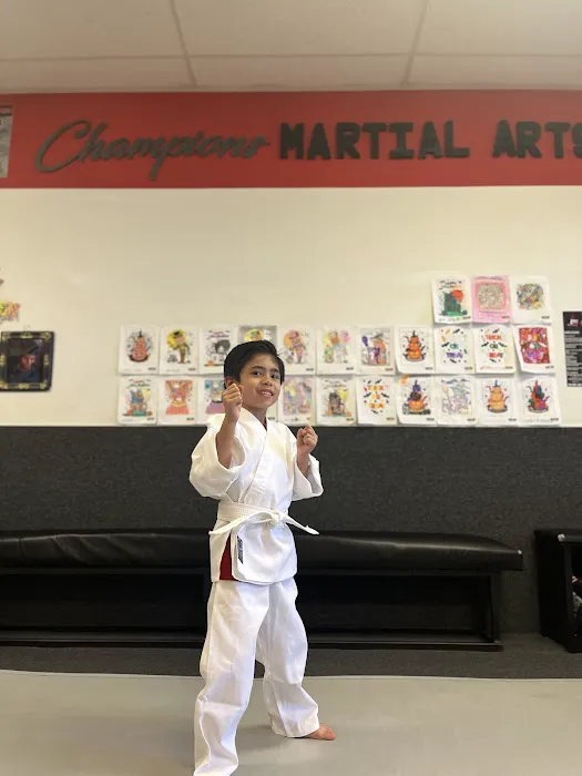 Champions Martial Arts Picture 1