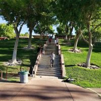 Cobras Martial Arts. ico