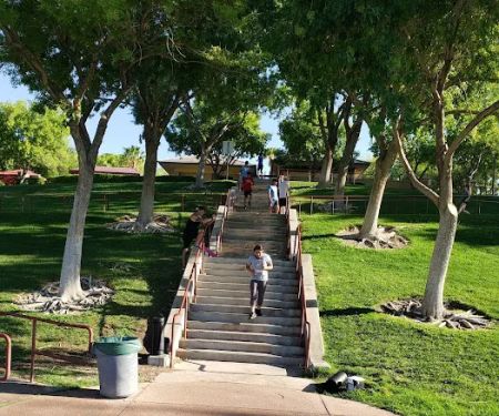 Cobras Martial Arts.