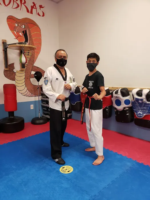 Cobras Martial Arts. Picture 2